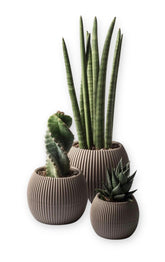 Mini Cactus, Flower, Herb Planter